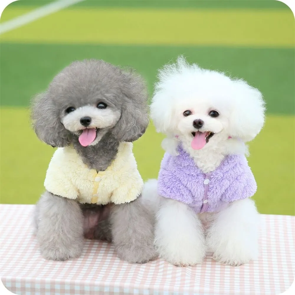 Adorable and Cozy Ice Cream Dog Hoodie – Perfect for Winter Cuddles