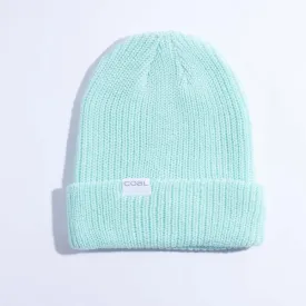 Coal The Stanley Soft Knit Cuff Beanie Mint